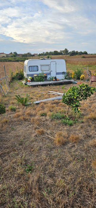 Terreno rústico em salreu, Estarreja