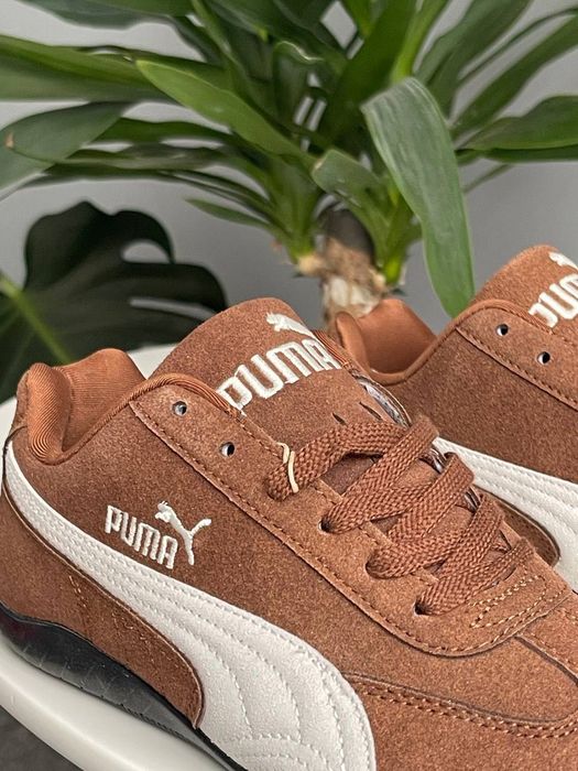 Puma Speedcat Brown