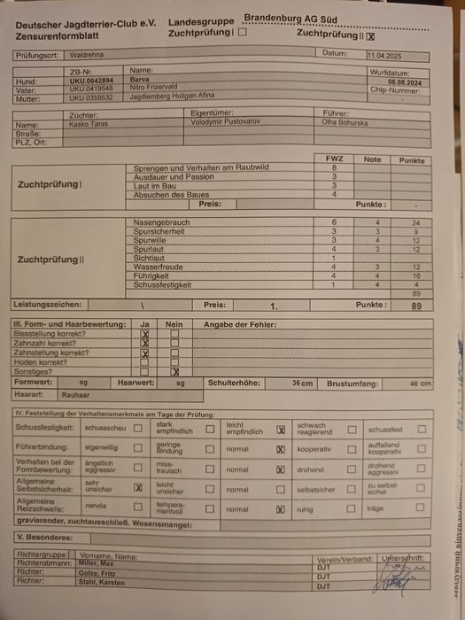 Ягдтер'єр продається