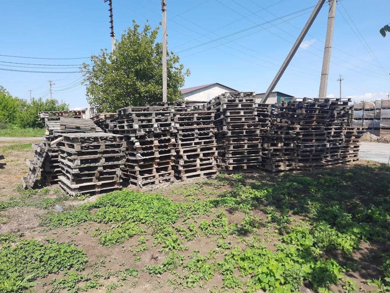 Палети, піддони в хорошому стані б/у. Самовивіз. Корнин