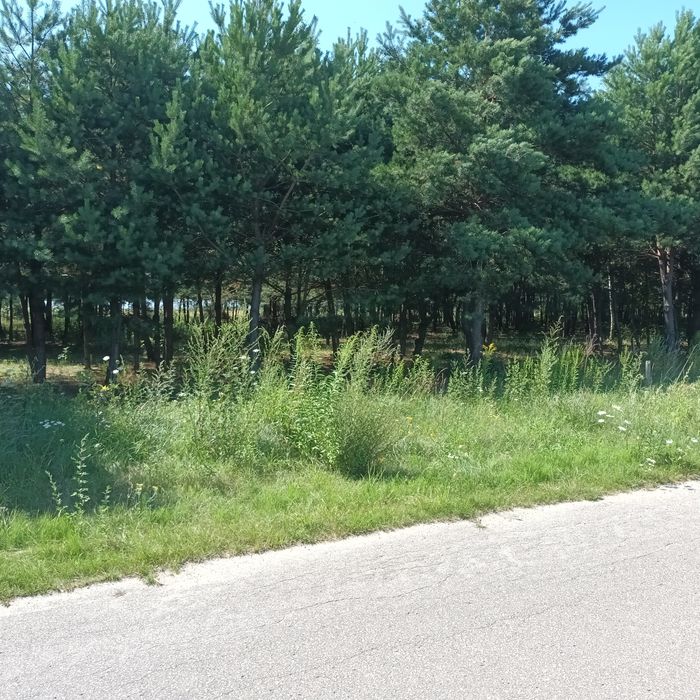 Działki budowlane 1800 m