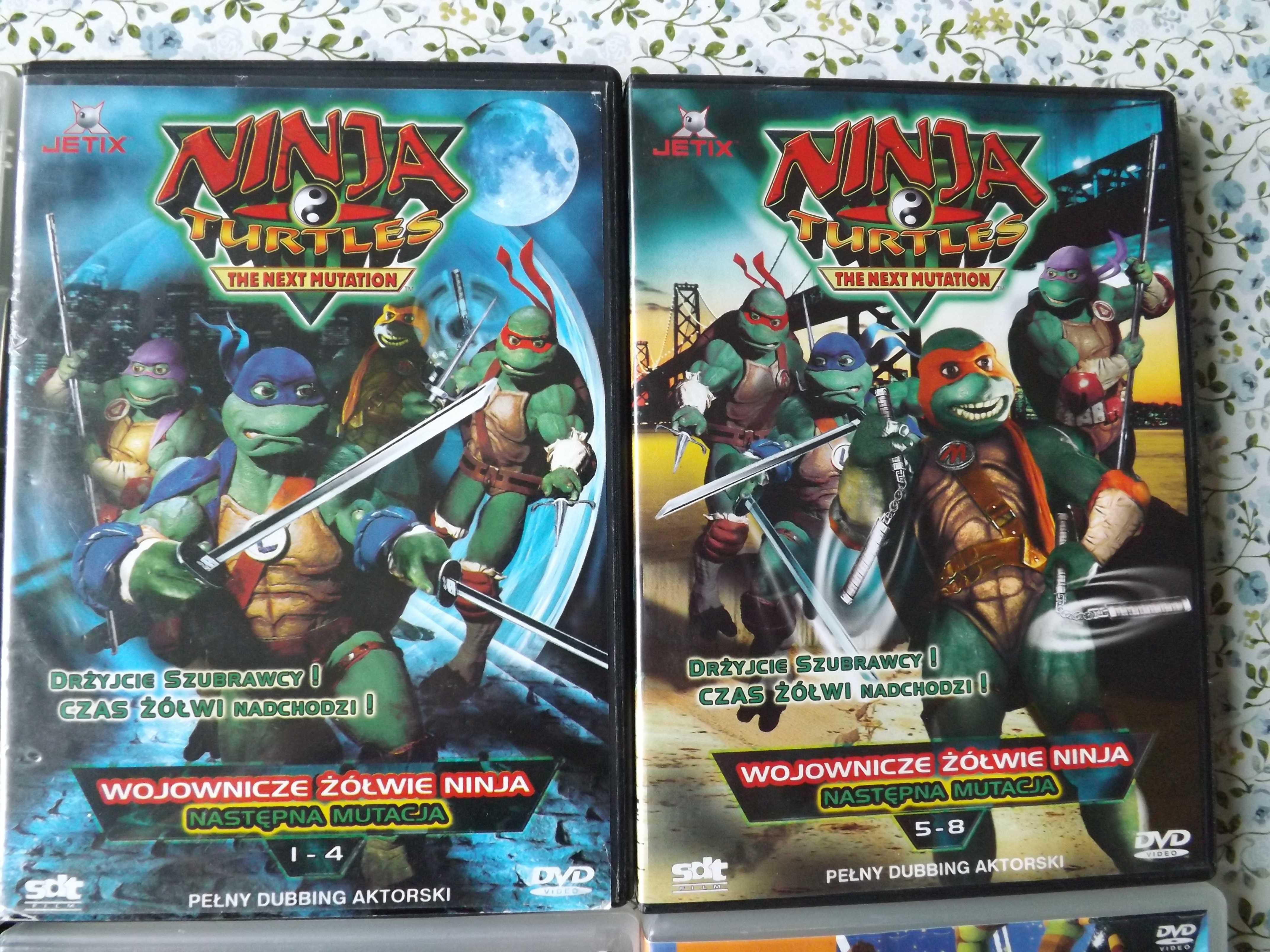 Żółwie Ninja bajki, filmy dvd