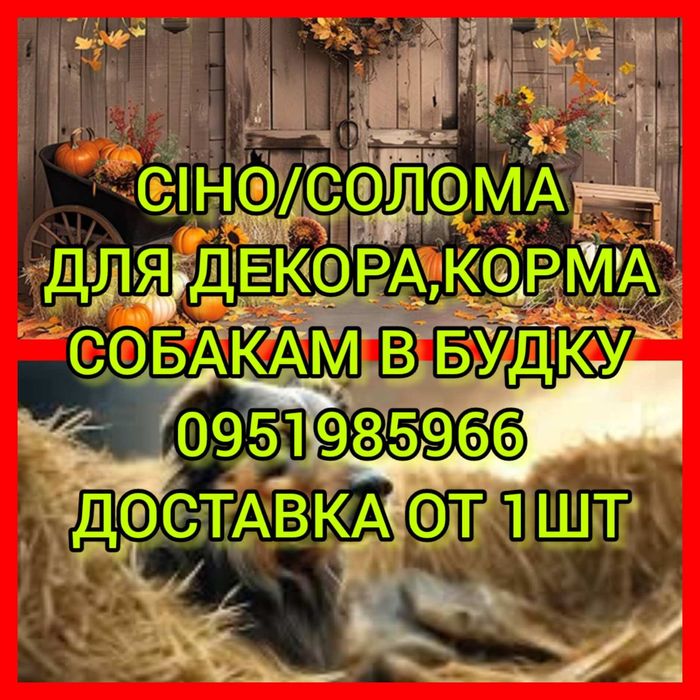 СІНО (СЕНО) В ТЮКАХ луговое (лугове) с доставкой. Есть б.н расчёт