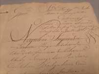 Napoleao Bonaparte Documento Manuscrito Sentenças