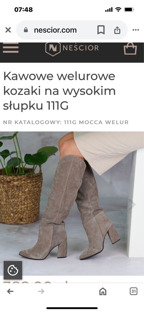 Kozaki Nescior r 39 nowe