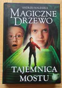 Tajemnica Mostu serii Magiczne Drzewo Andrzej Maleszka