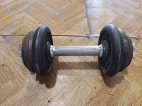 Hantel obciazenie żeliwne 10,5 kg