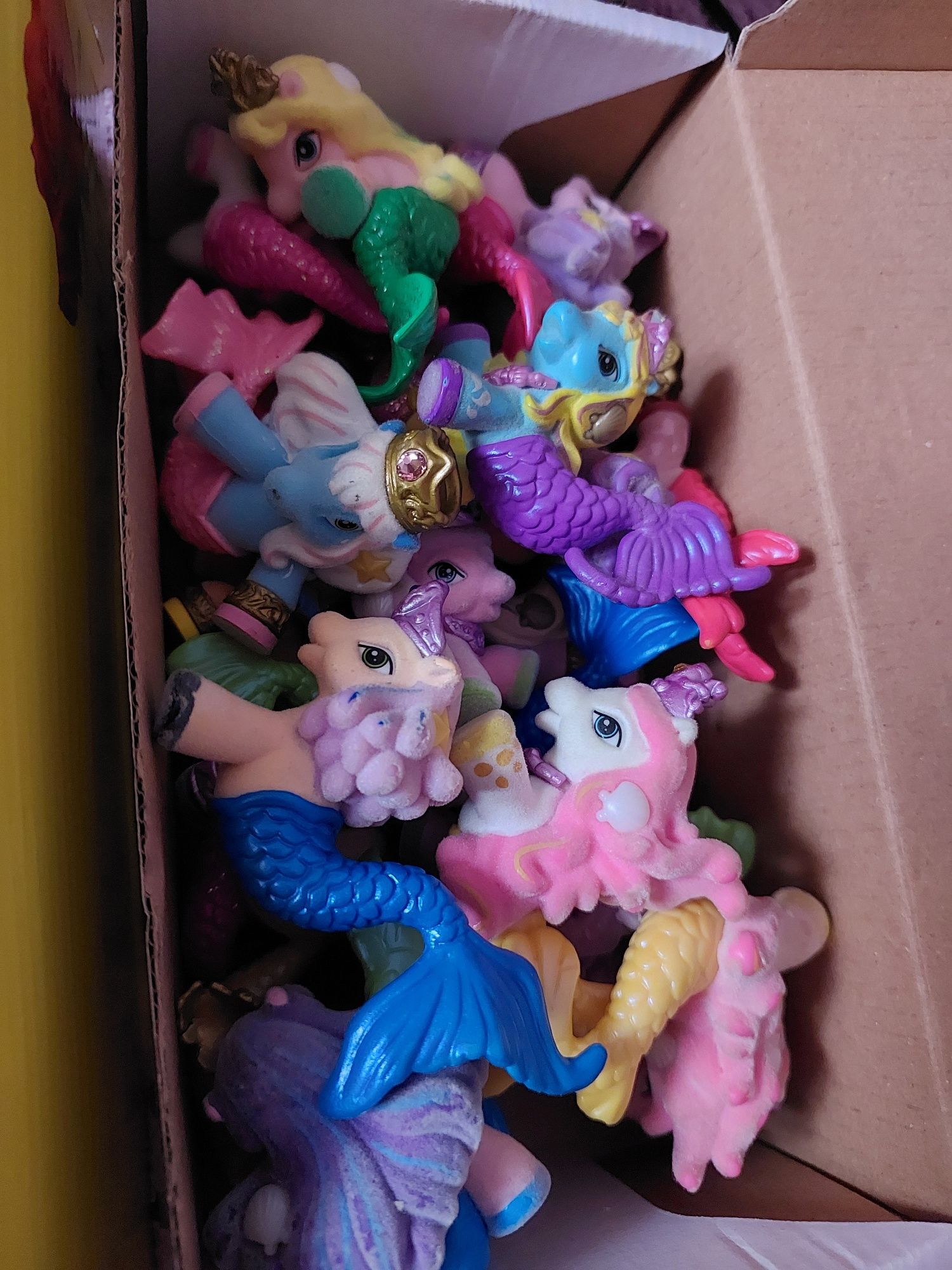 Поні філлі, pony filly