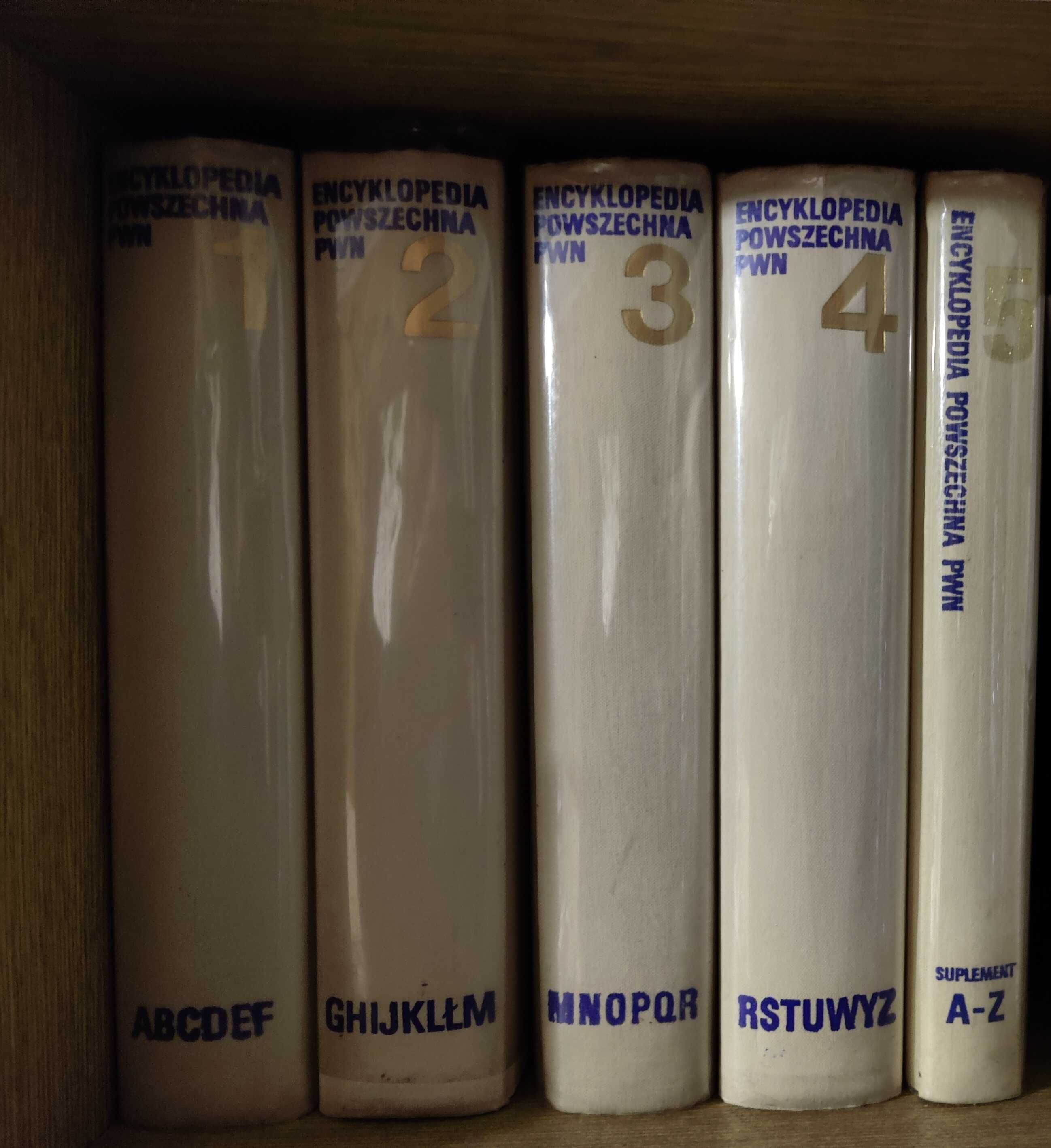 Encyklopedia powszechna PWN