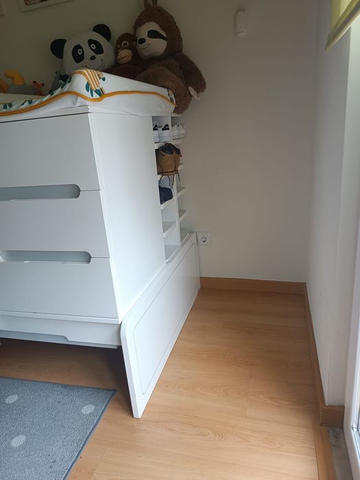 Berço Medular Trama