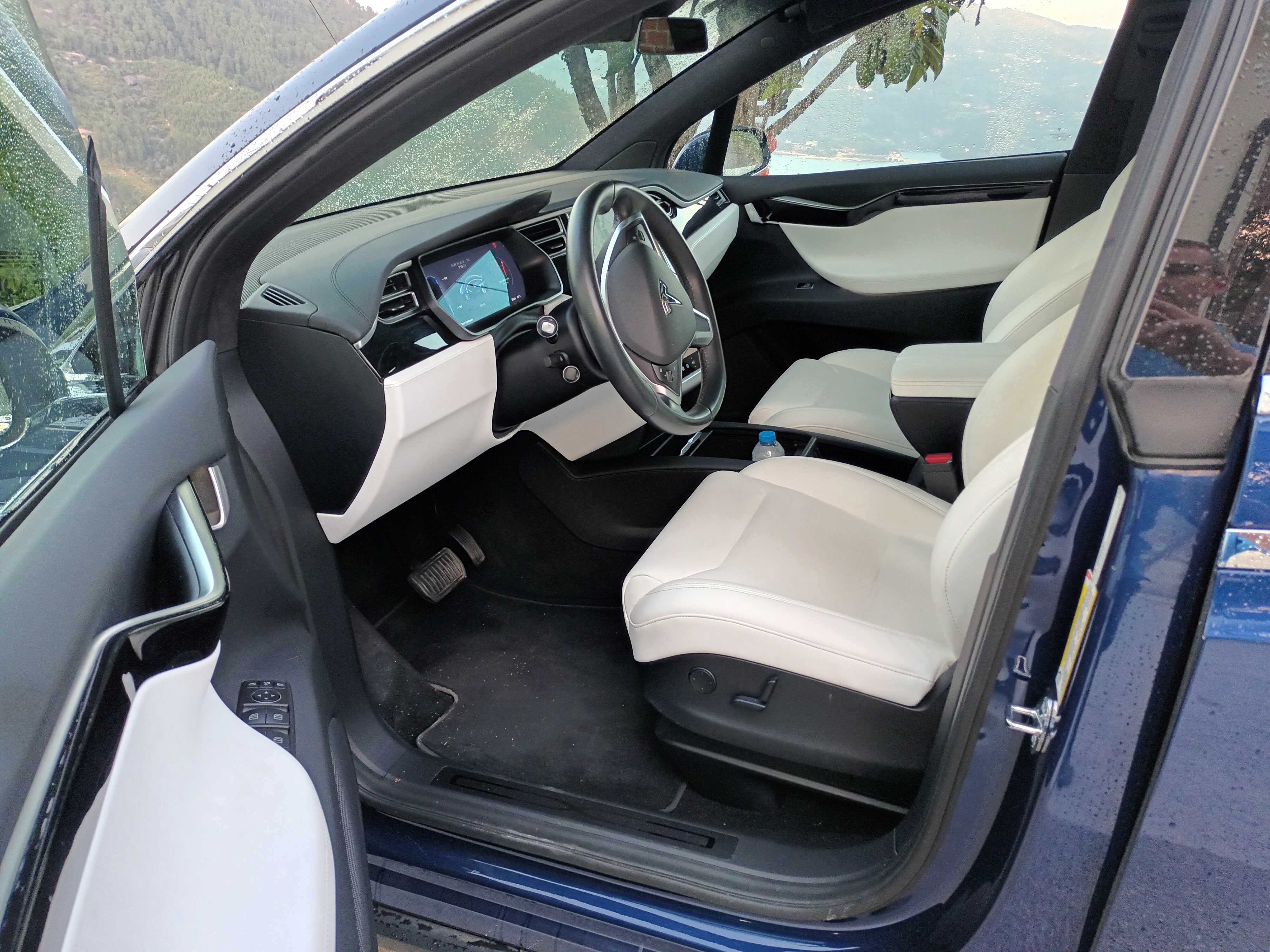 Tesla Model X 75 D - 18