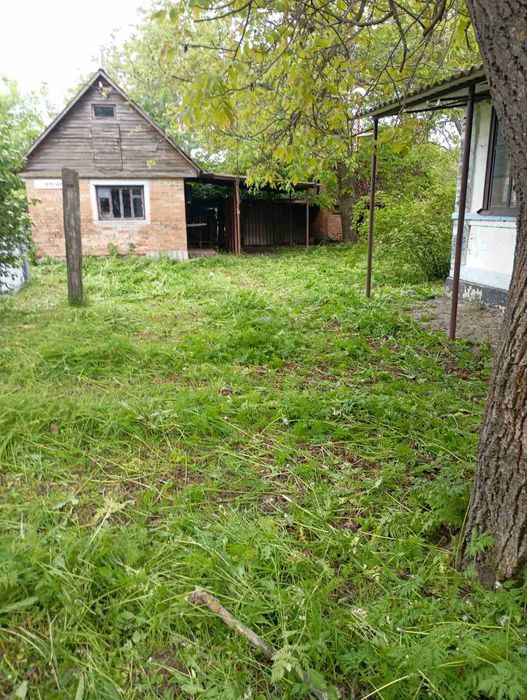 Продаж добротного будинку із земельною ділянкою в с. Шевченкове