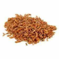 Жук знахар і личинки жука знахаря.