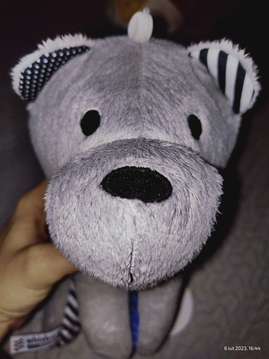 Miś szumiś Whisbear