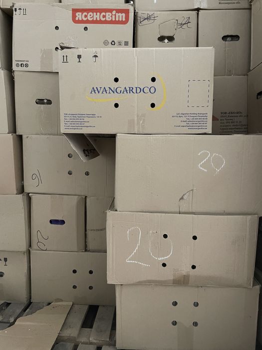 Продам ящик под яйцо 20грн и лоток 2 грн