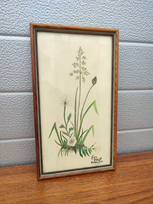 Obraz - Akwarela - Botanika - Botanica - Design - ręcznie malowana - G