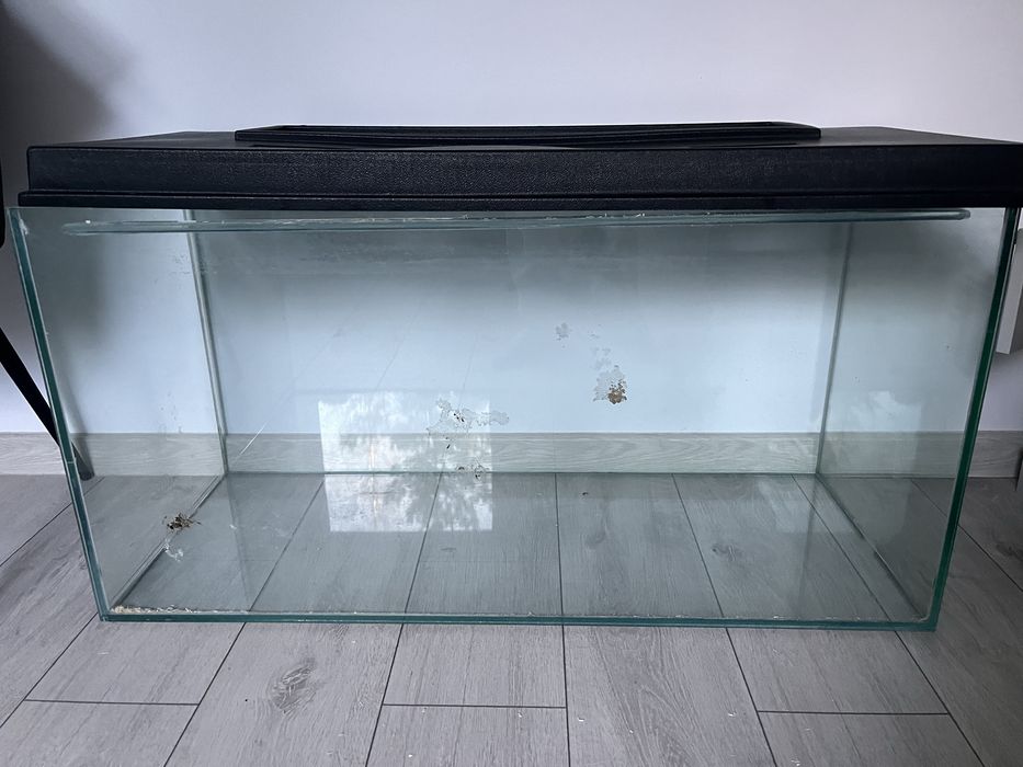 Akwarium bądż terrarium