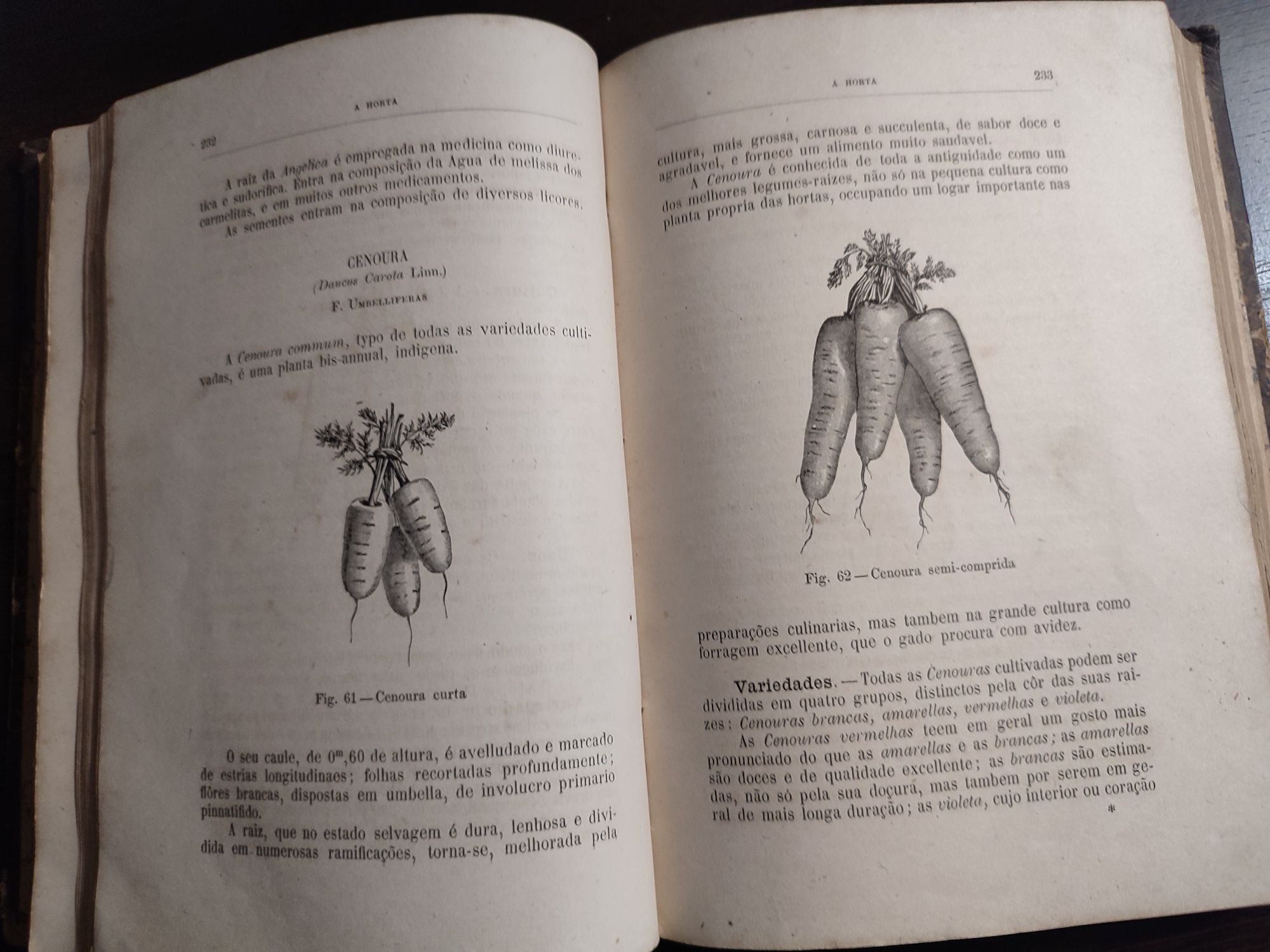 Livro Raro Antigo 1884 Agricultura A Horta