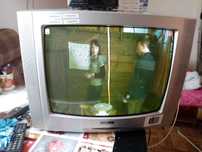 Tv21 z pilotami w..