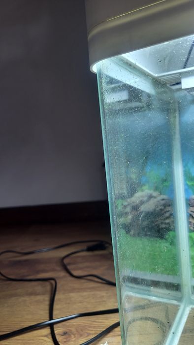 Akwarium z zaokrąglonymi narożnikami (zestwaw)