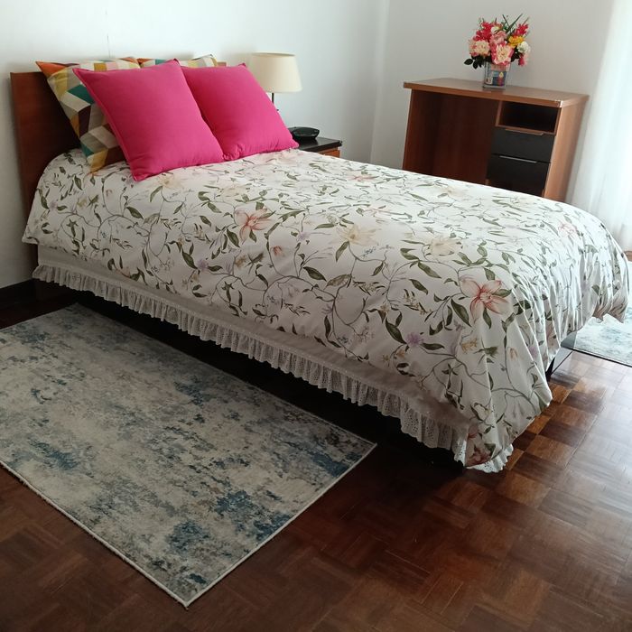 Alugo Quarto em Telheiras