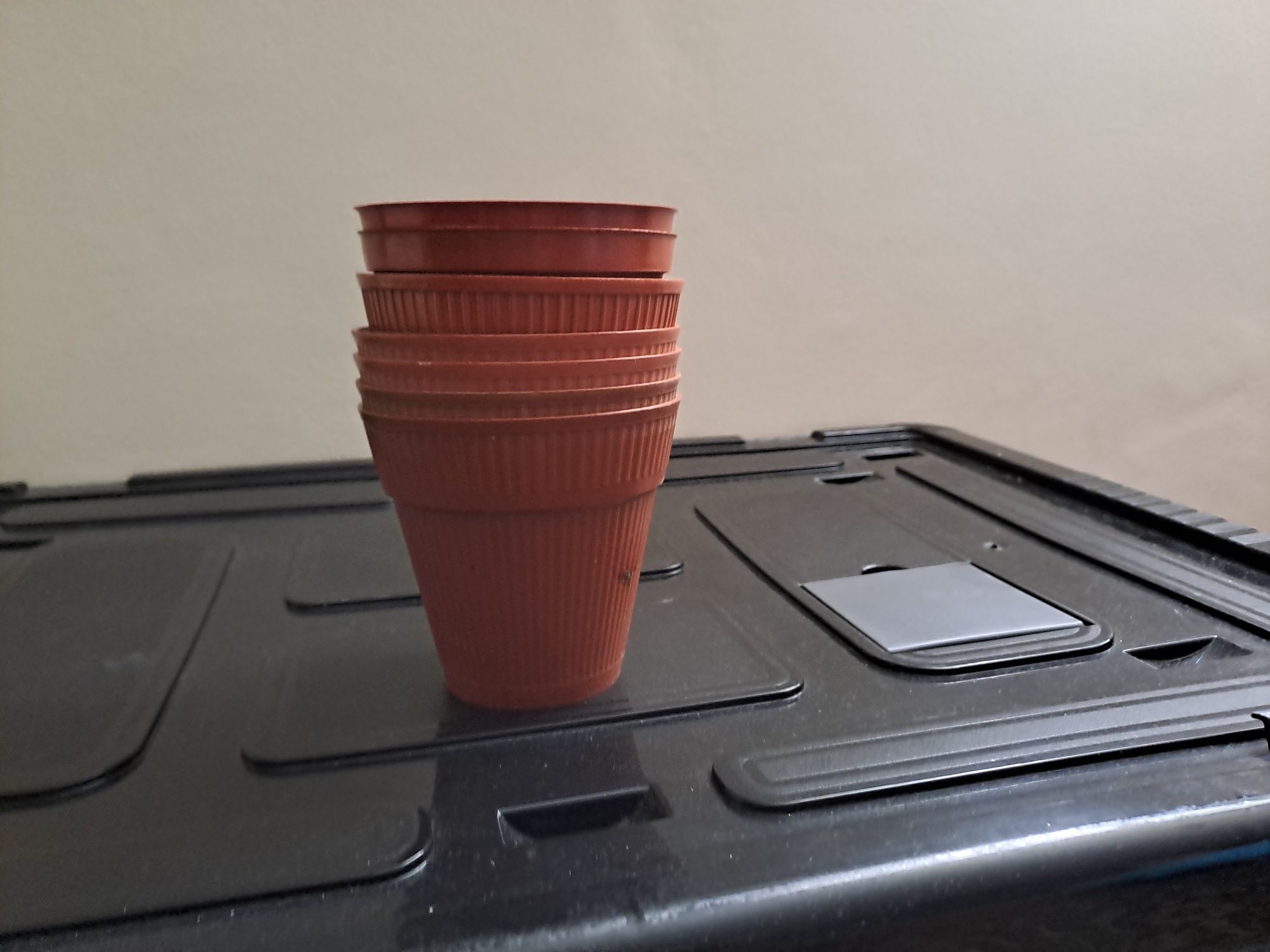 Vasos de plantas