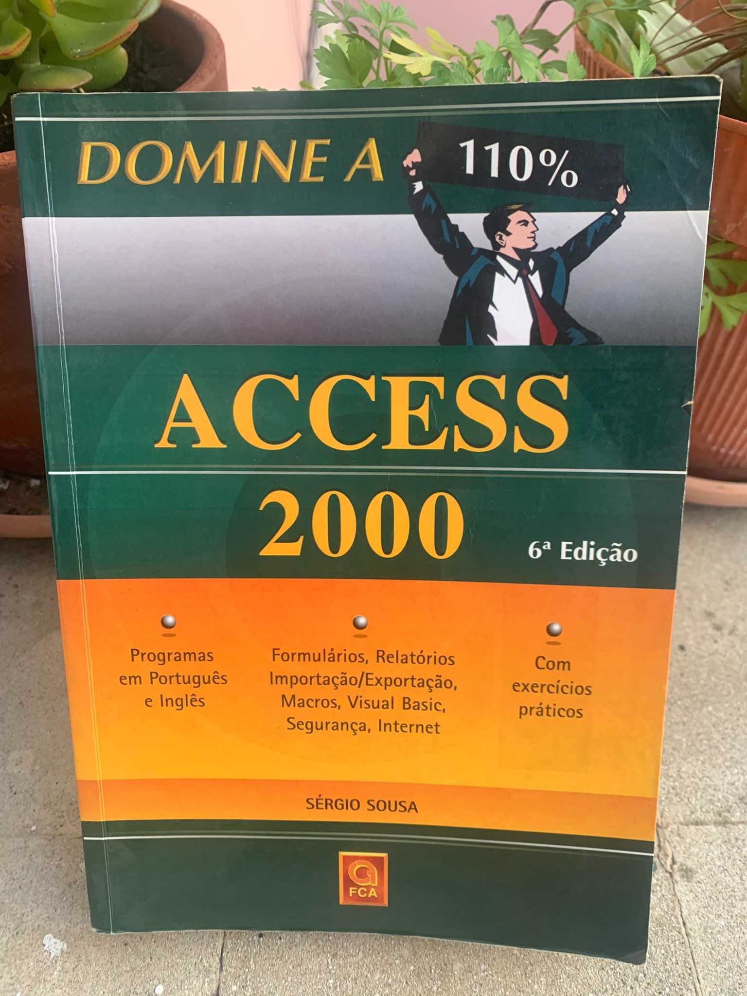 Domine a 100% Access 2000 6a edição