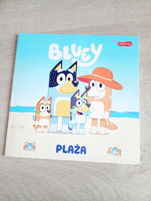 Ksiazeczka Bluey plaża