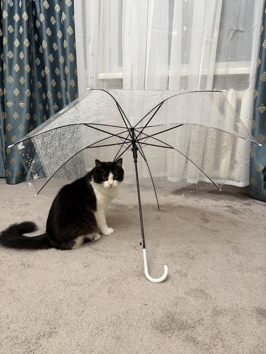 Продам зонт прозрачный свадебный