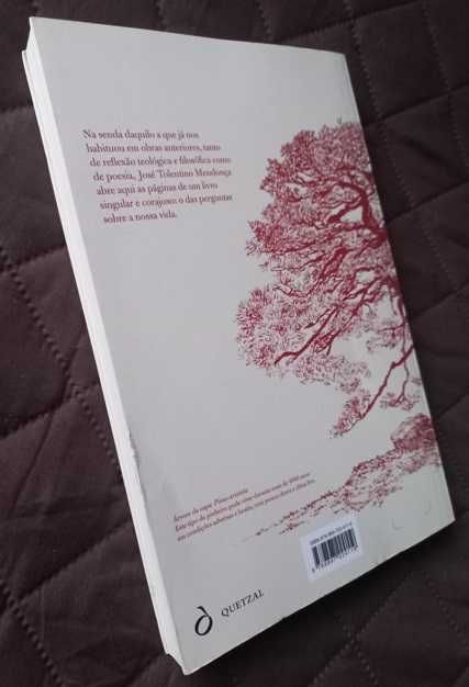O Pequeno Caminho das Grandes Perguntas - José Tolentino Mendonça