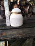 Porcelanowy izolator
