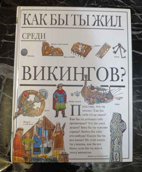 Як би ти жив серед вікінгів?