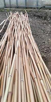 Patyki bambus (do roślin, płotków, ozdób)