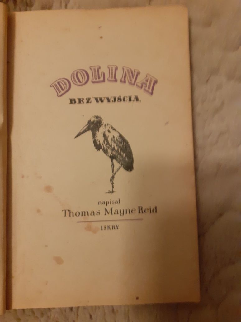 Książka Dolina bez wyjścia Thomas Mayne Reid