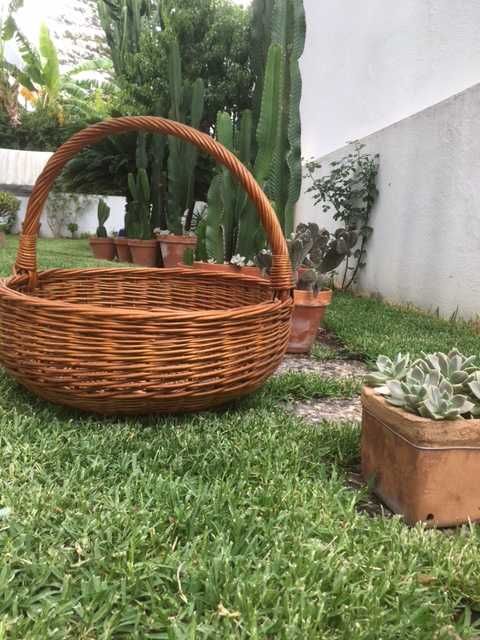 Cesto de verga grande
