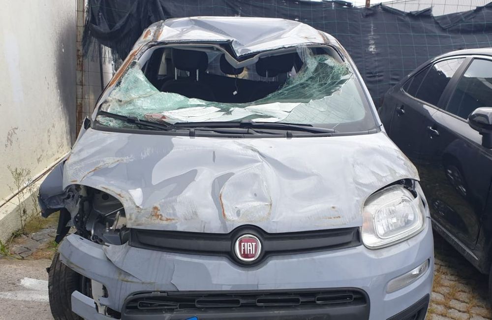 Fiat Panda de 2019