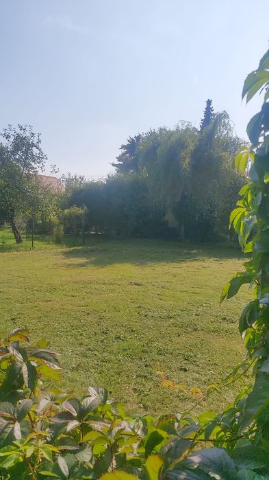 Ogródek rekreacyjny