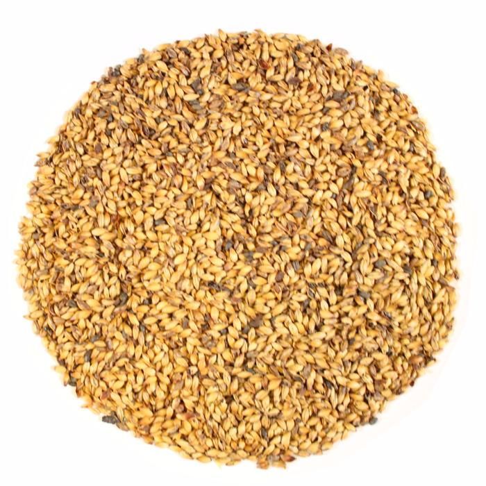 Maltes (em grão) para fabrico de cerveja artesanal