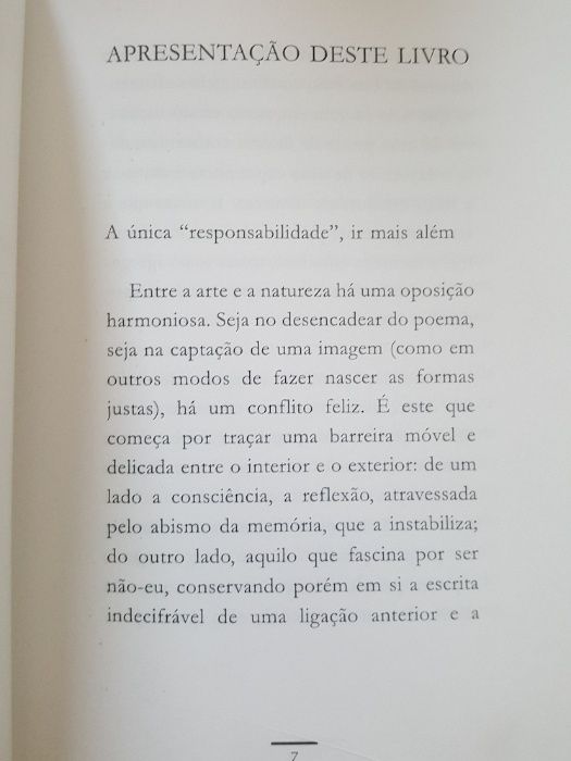 Friedrich Hölderlin - Pelo infinito