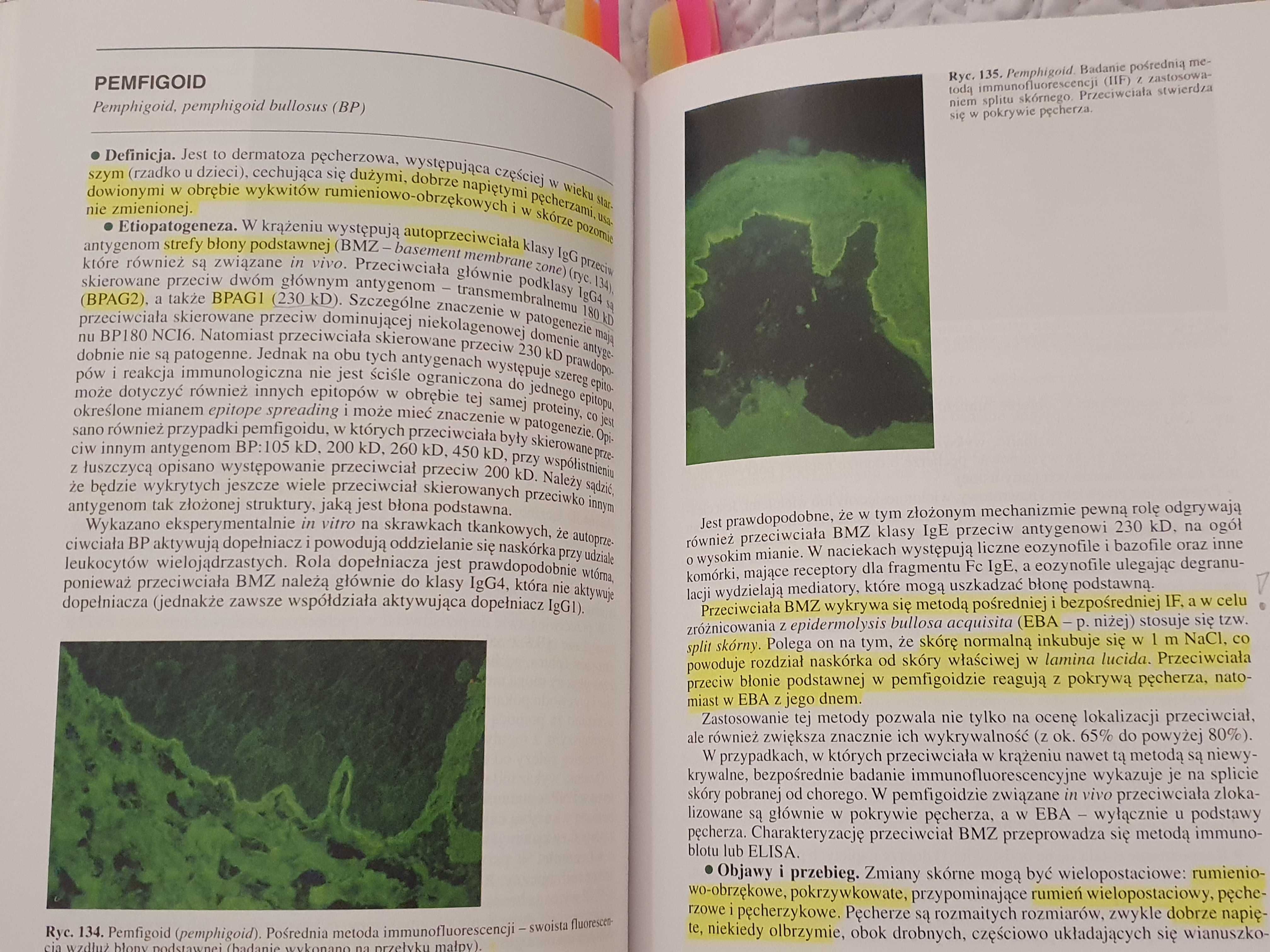 Dermatologia Jabłońska