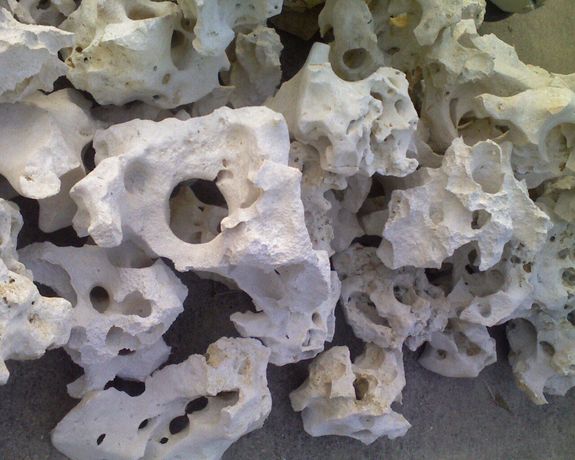 Biały WAPIEŃ FILIPIŃSKI Kamień do Akwarium Malawi Tanganika Skała Grys