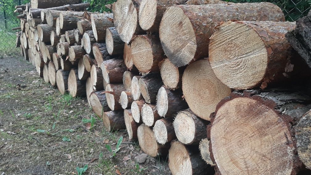 Drewno sosnowe na opał
