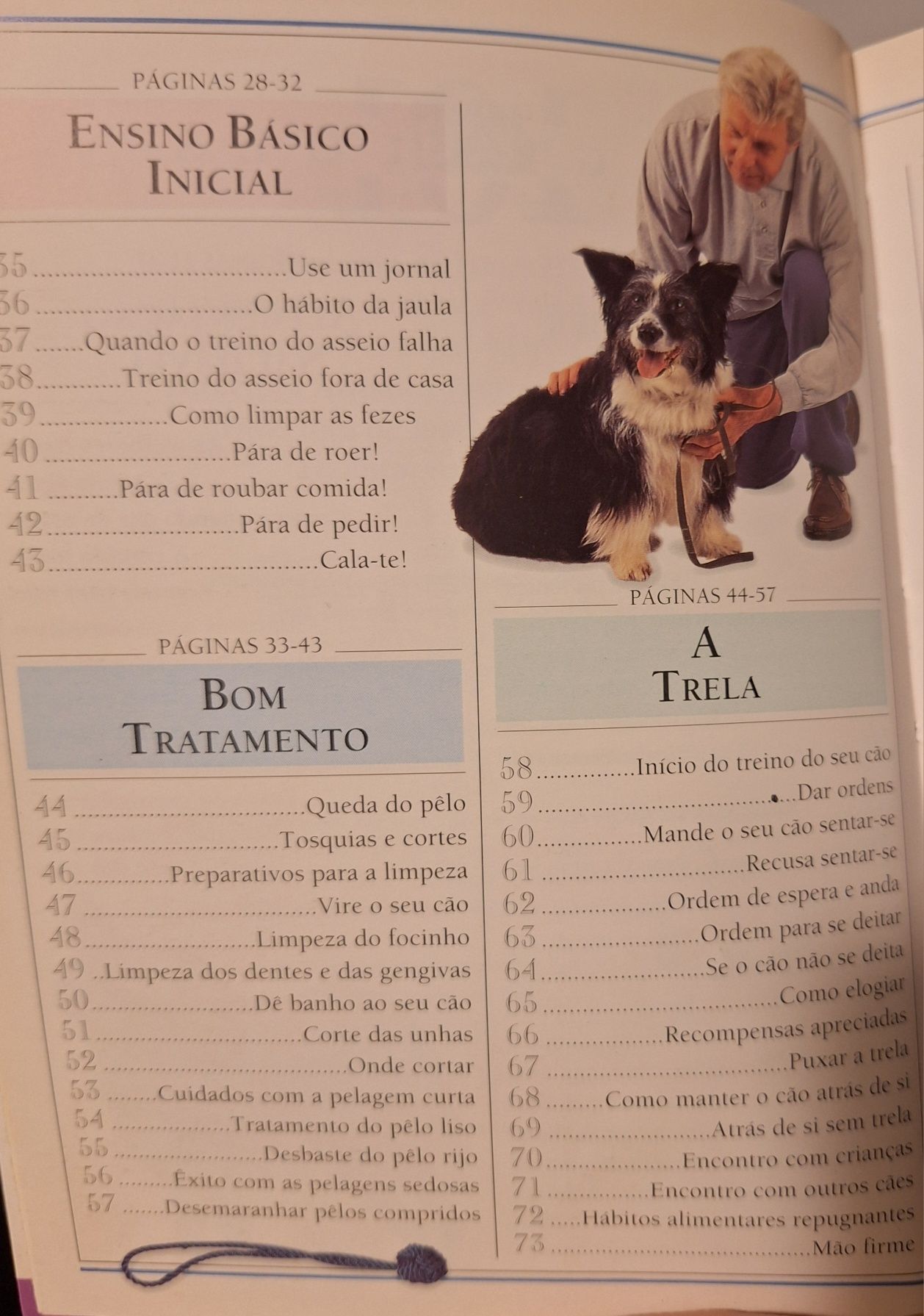 Livro- cuidar do cão,  101 sugestões