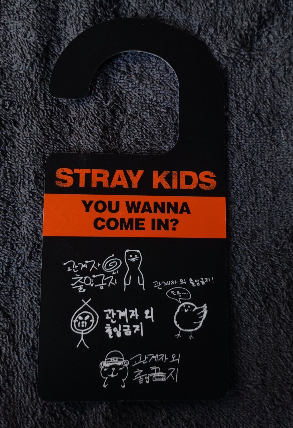 Stray Kids In Life Limited Edition Skz