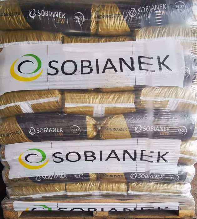 Groszek LEW Sobianek 29 MJ - najlepszy w regionie