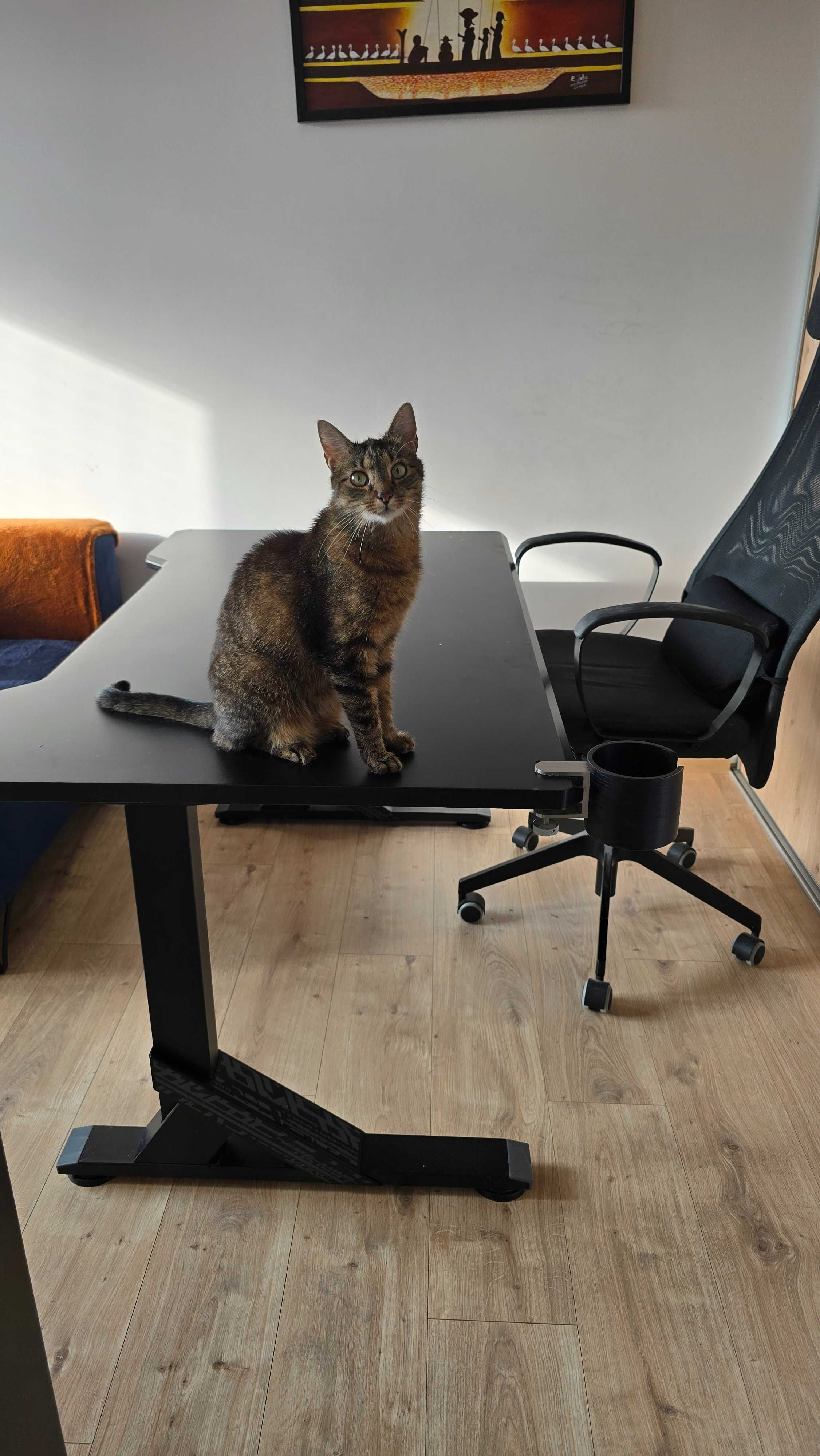 Biurko gamingowe Uppsel IKEA 140 cm x 80 cm