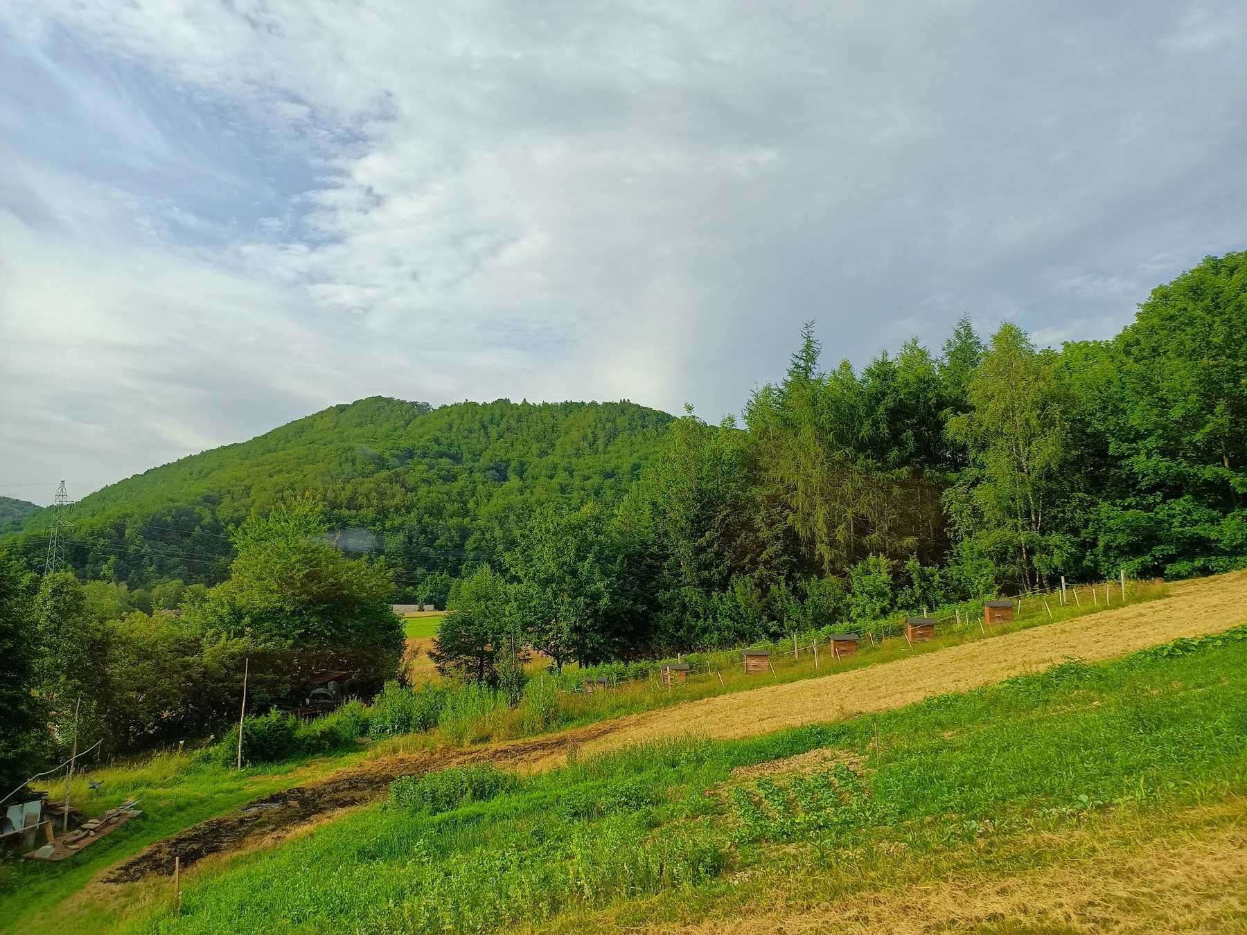 Domki letniskowe "Zielony Bukowiec" Noclegi Bieszczady Agroturystyka