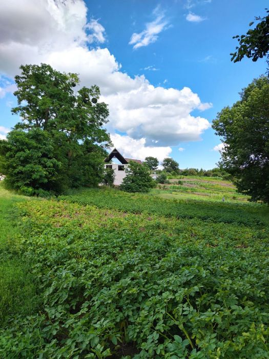 Продам будинок!!!