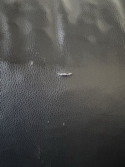 Sofá com marcas de uso