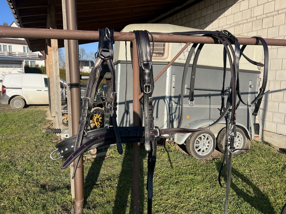 Uprząż szorowa szory singiel singlowa skóra xfull x-full